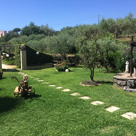 B&B Etna Ranch Piedimonte Etneo Exteriör bild