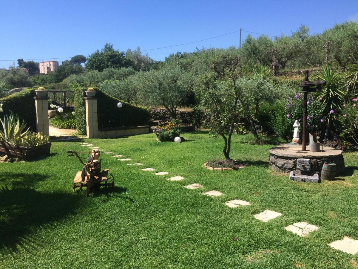 B&B Etna Ranch Piedimonte Etneo Exteriör bild