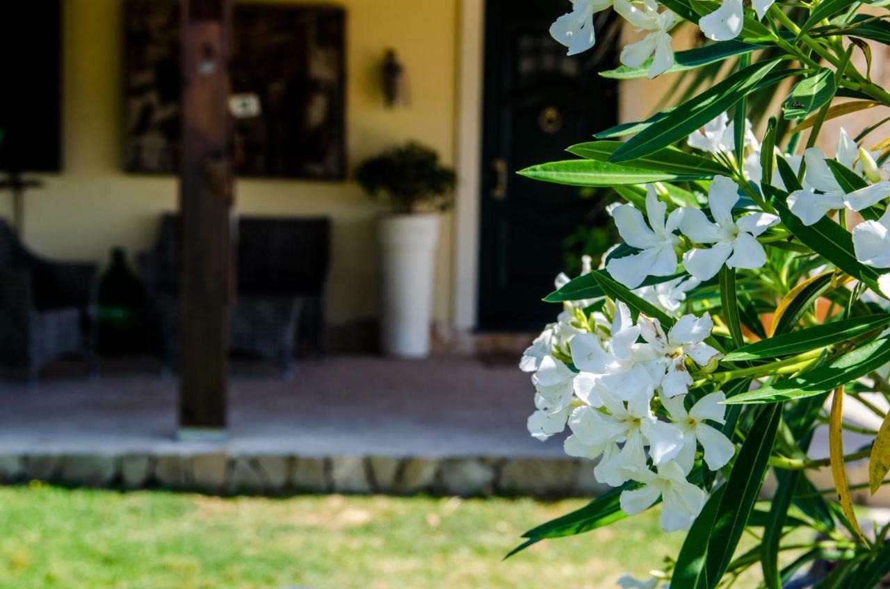 B&B Etna Ranch Piedimonte Etneo Exteriör bild